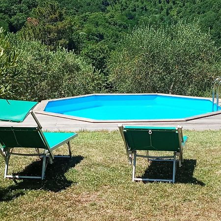קיאני Villa Con Piscina 10 Posti Letto, L'Oliveta Di Rivalto מראה חיצוני תמונה