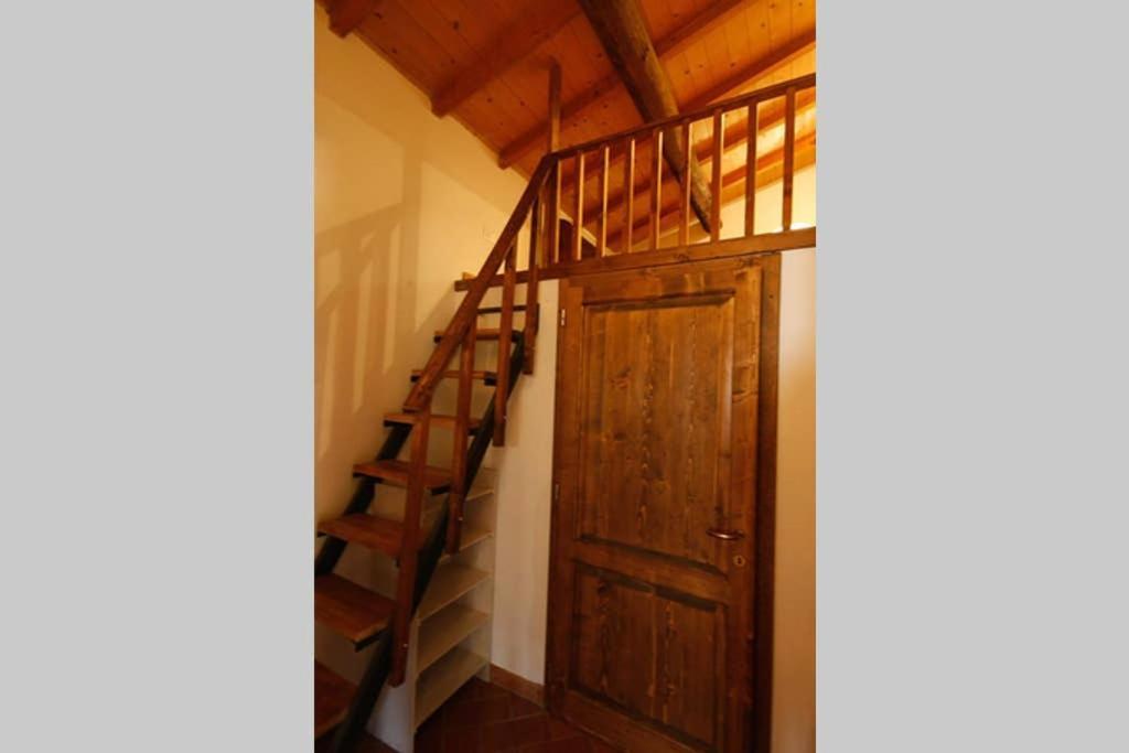 קיאני Villa Con Piscina 10 Posti Letto, L'Oliveta Di Rivalto מראה חיצוני תמונה