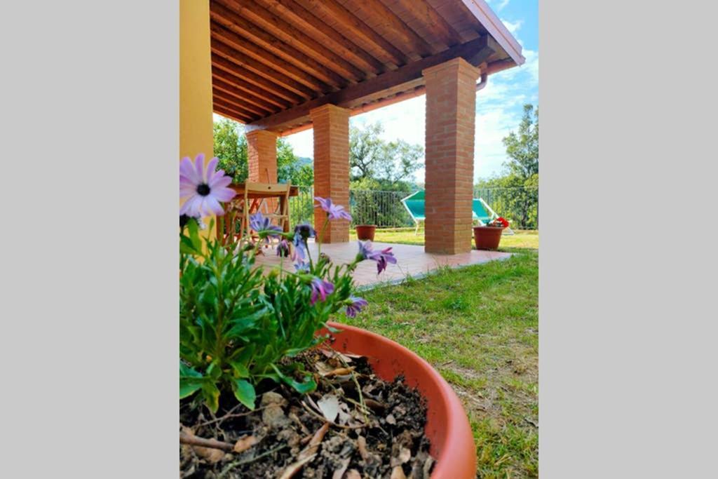 קיאני Villa Con Piscina 10 Posti Letto, L'Oliveta Di Rivalto מראה חיצוני תמונה