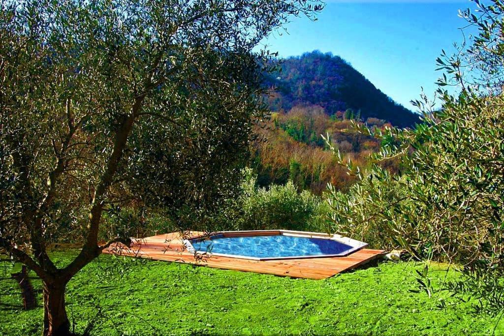קיאני Villa Con Piscina 10 Posti Letto, L'Oliveta Di Rivalto מראה חיצוני תמונה