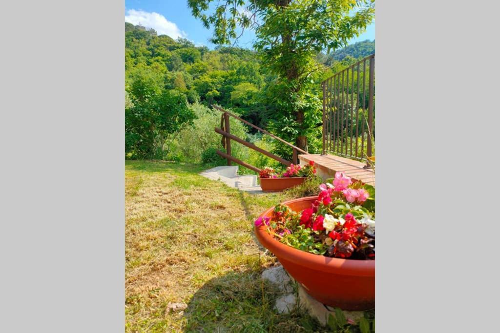 קיאני Villa Con Piscina 10 Posti Letto, L'Oliveta Di Rivalto מראה חיצוני תמונה
